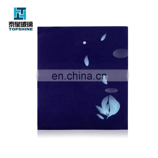 Silk Screen Printing Tempered Glass Door for Refrigerator Door photo-6
