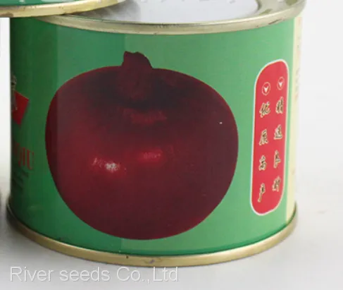 100g Bulk Sale Good Price Hybrid f1 Common Bulb Onion Red Onion Seeds for Sale
