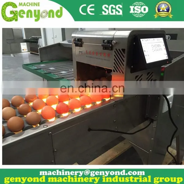 Brand New Automatic Egg Sorting Machine photo-2