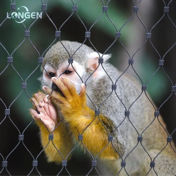 Free Provision of Stainless Steel Zoo Mesh Samples photo-2