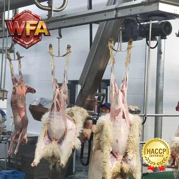Complete Cattle Slaughter Line SUS304 Stainless Steel Cow Slaughter Equipment With CE Certificate photo-3