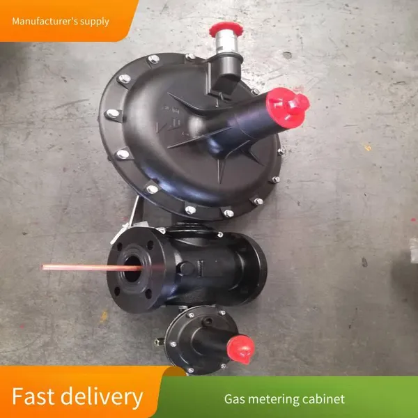 Stainless Steel Cng Decompression Station, Gas Pressure Regulating and Metering Device, Natural Gas Metering and Pressure Regulating Cabinet photo-3