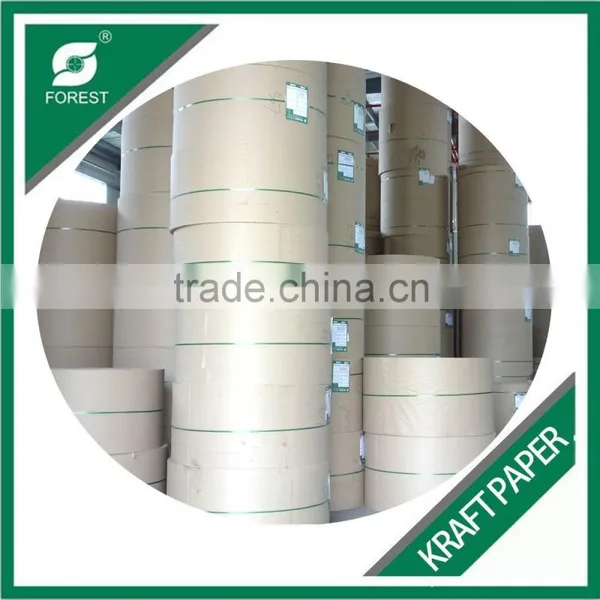 FOOD GRADE COATED KRAFT PAPER 250-350GSM photo-3