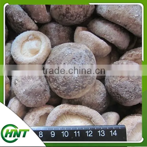 2015 New Crop Iqf Frozen Shiitake Mushrooms photo-3