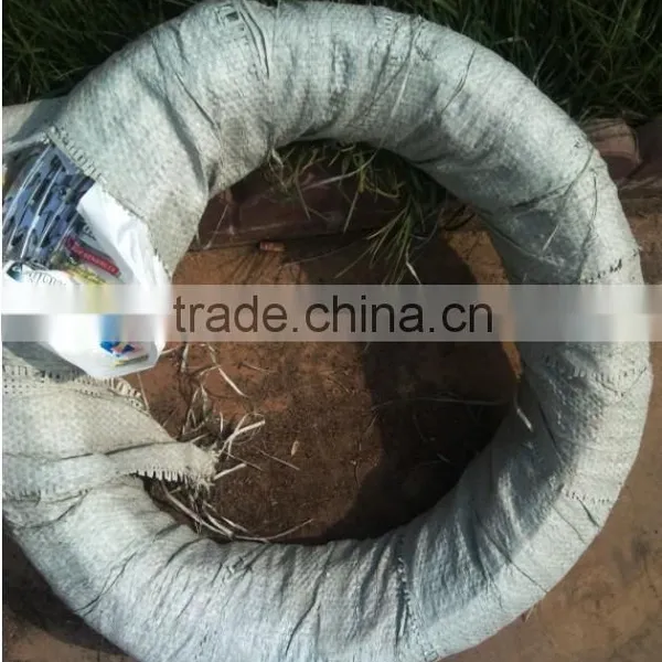 Low Price Concertina Barbed Razor Wire( Direct Factory) photo-6