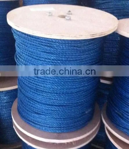 Slit Film Blue Polypropylene Rope photo-2