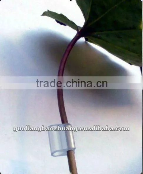 Silicon Clips