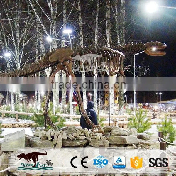OA-DS-62S5 Exhibition Museum Fiberglass Enormous Dinosaur Fossils photo-3