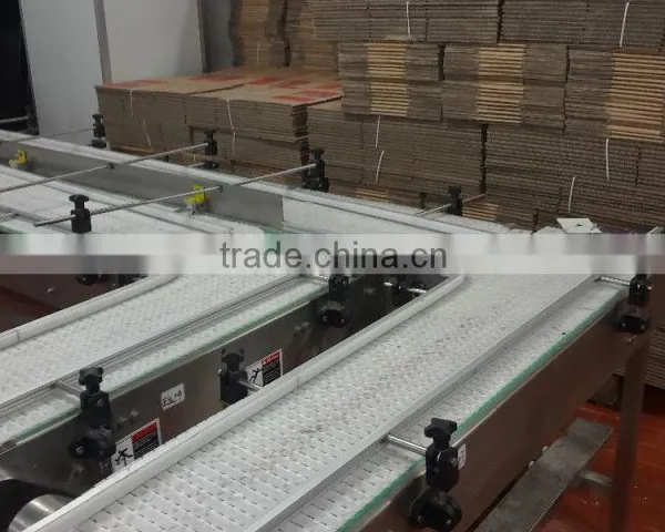 Pallet Conveyor Systems photo-6