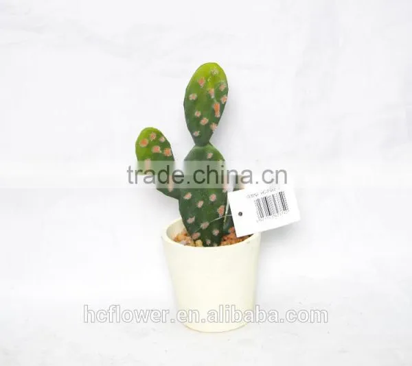 Mini Green Cactus Planted in Ceramic Pot for Decoration