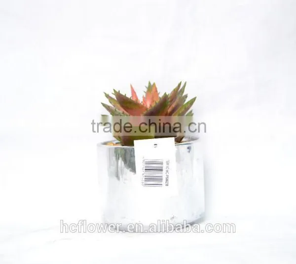 Good Quality Artificial Succulent Plants for Indoor Decoration