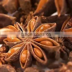 Autumn Star Aniseed photo-6