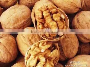 Organic Walnut Kernel With Top Quanlity, Wholesale Walnuts In Shell Price