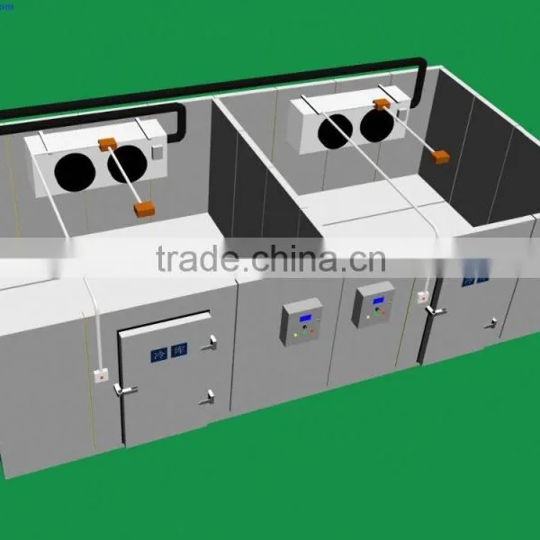 -20 Cold Room for Vaccine and Medicines / Refrigerator Cold Room / Frozen Cold Room photo-5