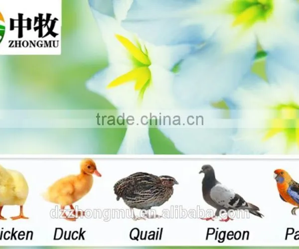 Top Selling Newly Design Full Automatic Egg Incubator Hatching 5280 Eggs for Sale photo-5