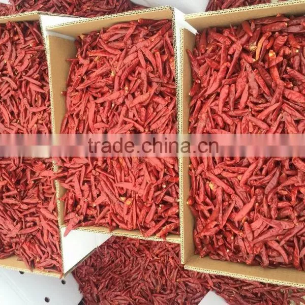 DryRed Chili photo-2
