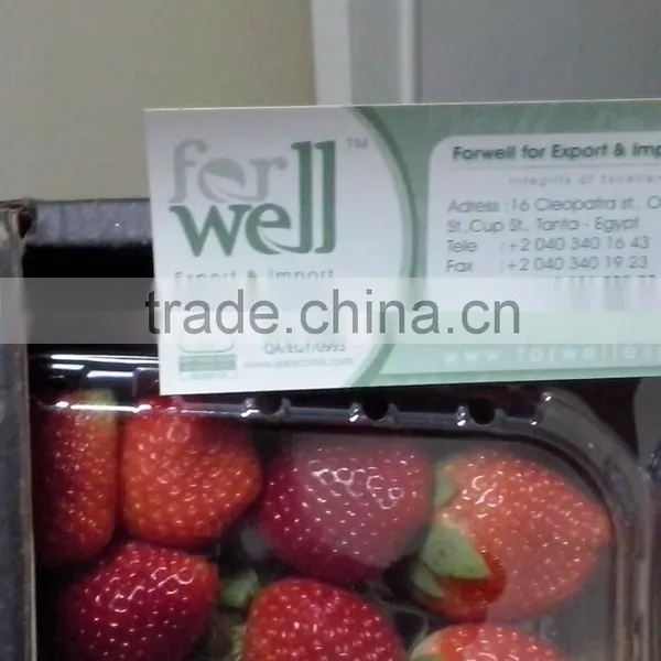 Strawberry photo-2
