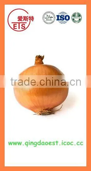 Bulk Chinese Best Quality Fresh Yellow Onion photo-6