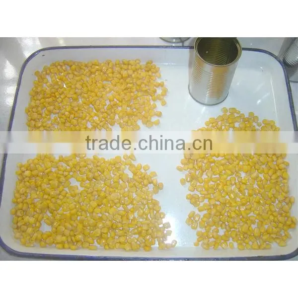 Canned Sweet Corn photo-2