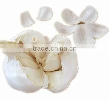 Fresh Garlic Peeled Pure White
