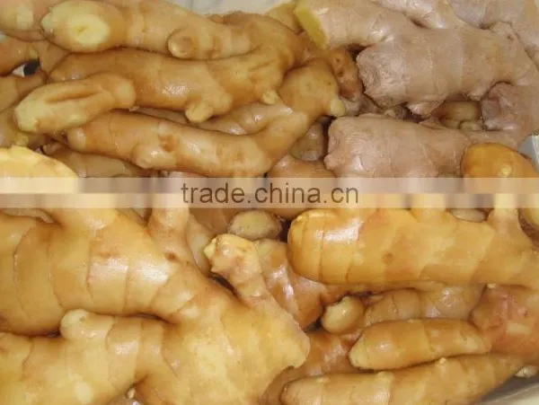 Ginger Root Price photo-6