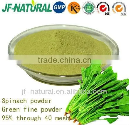 Natural Spinach Powder Vegetable Powder ISO, GMP, HACCP, KOSHER, HALAL Certificated. photo-2