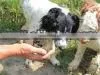 TRUFFLE AND WINE TOUR in the South of Italy T-TOURISM