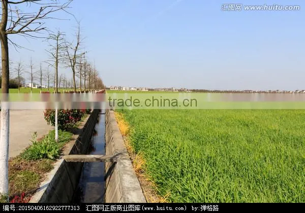 1000ft Irrigation Line 12" Spacing 12mil Trickle Soaker Garden Hose Drip Tape photo-5