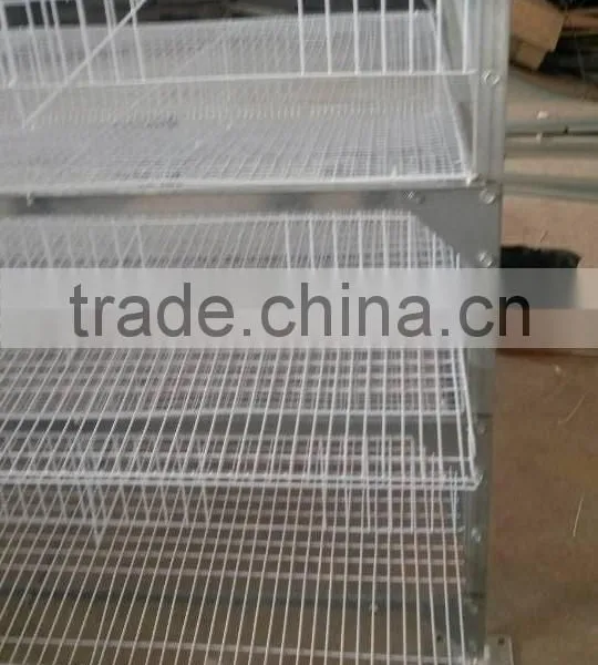 Hot Sale H Type(6-tier) Quail Cage photo-5