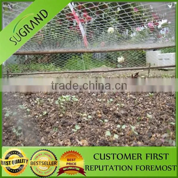 100% HDPE UV Agricultural Anti Bird Net / Fruit Tree Anti Bird Net photo-4