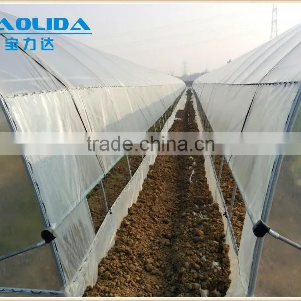 Cheap Vegetables Tunnel Greenhouse Baolida Tunnel Green House photo-3