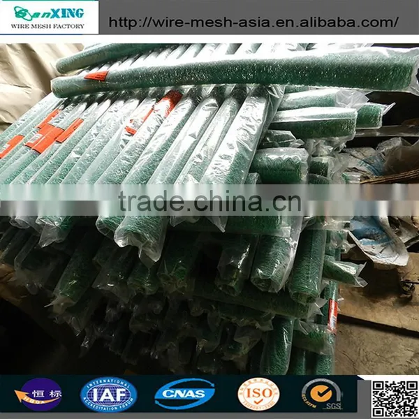 Bird Cage Wire Mesh / Gabion Mesh / Hexagonal Wire Mesh With High Quality photo-4