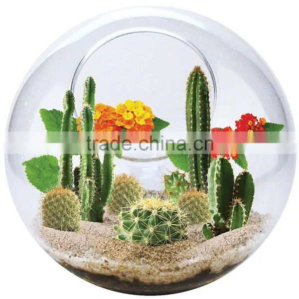 Acrylic Round Terrarium Accessories photo-3