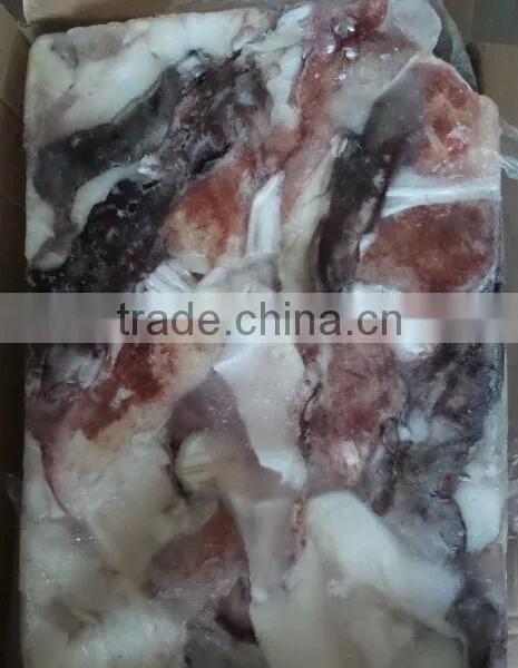 Frozen Giant Squid Neck photo-2