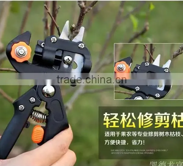 Hot Sale Professional Sharpening Garden Scissor Garden Flower Pruning Shears photo-5