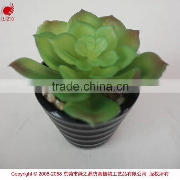 Wholesale Artificial Plants Mini Succulents for Indoor Decoration photo-3