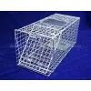 Live Animal Trap
