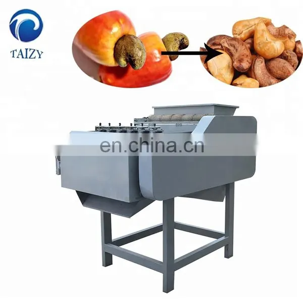 Taizy Automatic Cashewnuts Huller Sheller Artificial Nut Cracker Cracking Cashew Shelling Machine Price photo-5