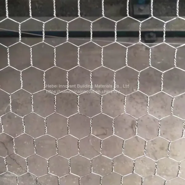 Hot Dipped Galvanized Hexagonal Wire Mesh photo-2