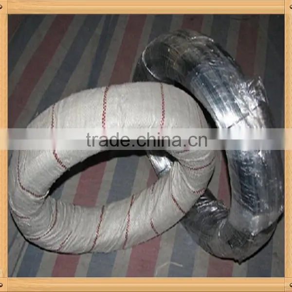Electro Galvanized Iron Wire photo-3