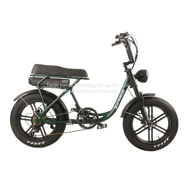 Popular 20-Inch Tire E-Bike Wholesale Electric Bicycles Electric Mountain Bike Manufacturers photo-2