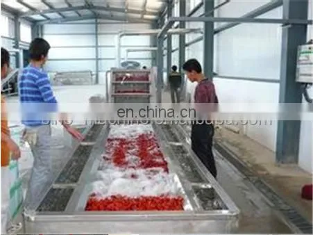 Turnkey Project Complete Set of Palm Dates Processing Line Date Syrup Production Line Factory Manufacture 500kg/hr photo-3