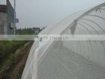 High Quality Anti-Insect Screening