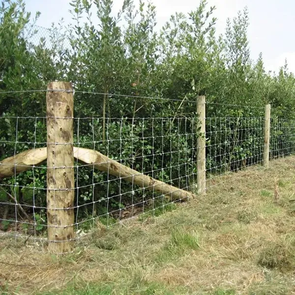 ECO FRIENDLY Galvanized Sheep Livestock Wire Mesh Rolls Security Farm/Horse Cattle Field Fence for Fixed Knot/Deer photo-2