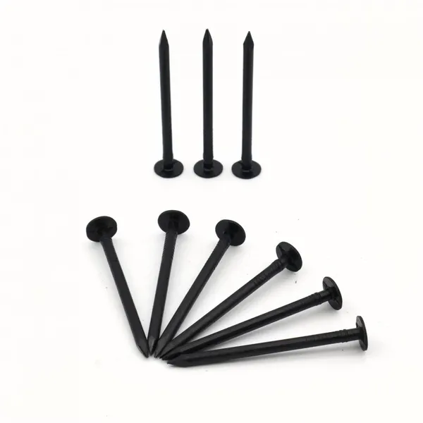 China Made Black Wire Nails Q195 Material With Mill Test Report photo-5