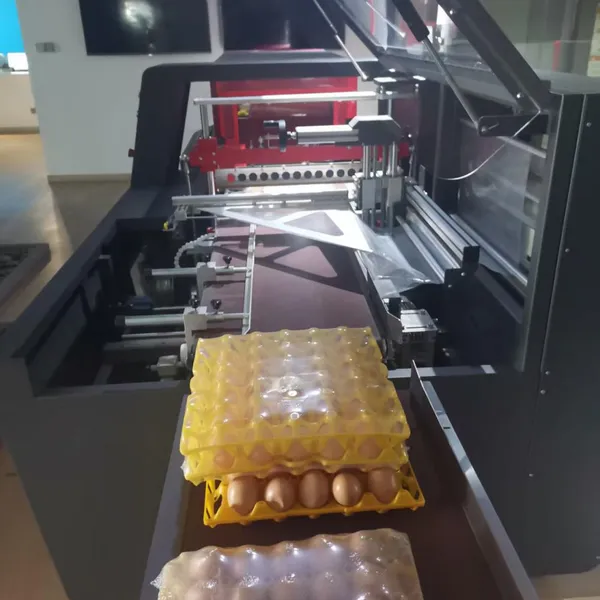 POF Shrink Film Packaging Machine photo-2