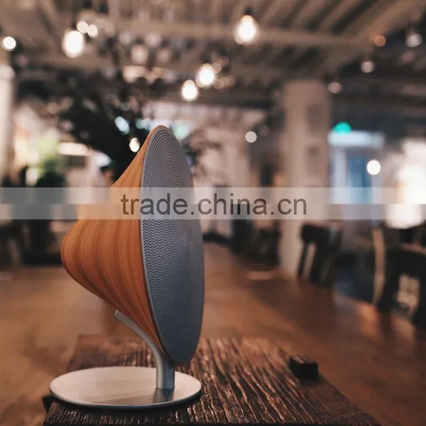 Good Designed Audio Pro Speakers With International Charger