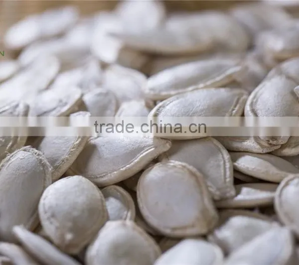 Dalian East Dawn Shine Skin Pumpkin Seeds Suppliers photo-3