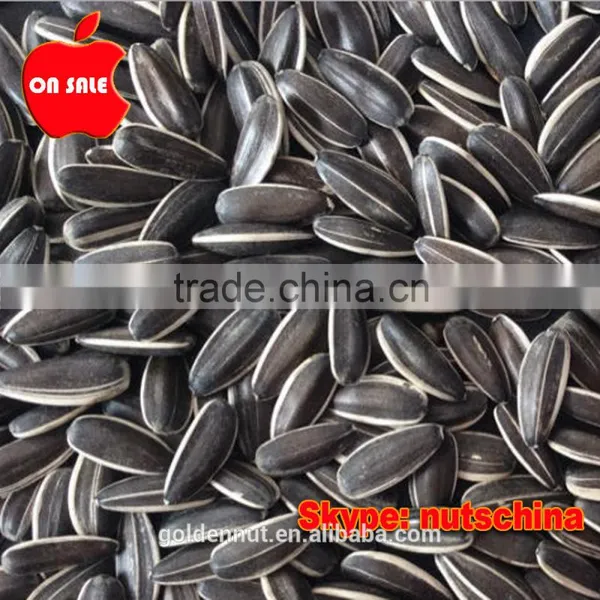 Chinese Sunflower Seeds 5009 photo-4