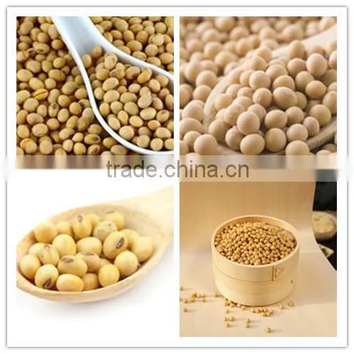 150kg Fast Food Equipment Textured Protein Mini Health Food Machine Factory photo-3